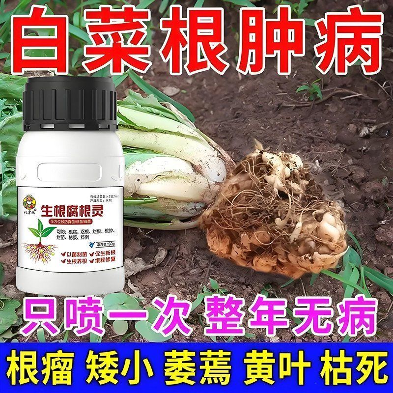 白菜根肿病专用药白菜油菜青菜黄叶矮小枯萎死棵根腐病蔬菜病全治