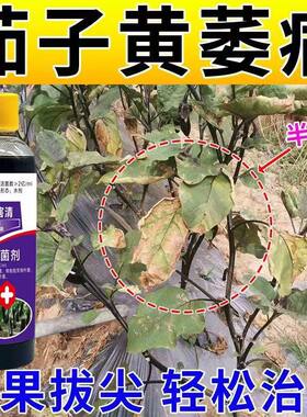茄子药病全治茄子病毒清茄子黄萎枯萎病叶斑病炭疽病棉疫病杀菌剂