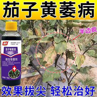 茄子药病全治茄子病毒清茄子黄萎枯萎病叶斑病炭疽病棉疫病杀菌剂
