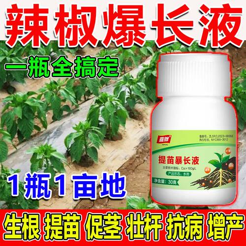 辣椒提苗肥料种蔬菜专肥营养液水溶肥生长素用催长剂白病专药用锈