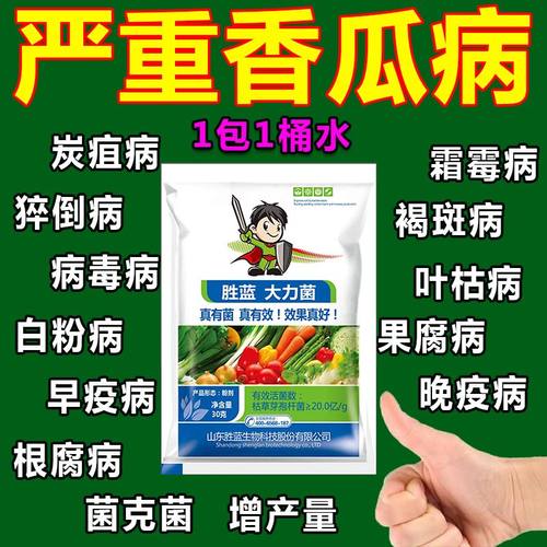香瓜专用杀菌剂香瓜病全杀甜瓜病全治甜瓜杀菌药甜瓜杀菌剂