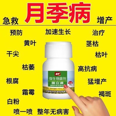 月季花专用药病全治黄叶黑斑病白粉病月季病虫害药月季花杀菌剂