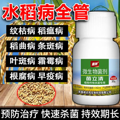 水稻病害全治稻瘟病纹枯病钻心虫专用药苗床防病药白叶枯病稻曲病