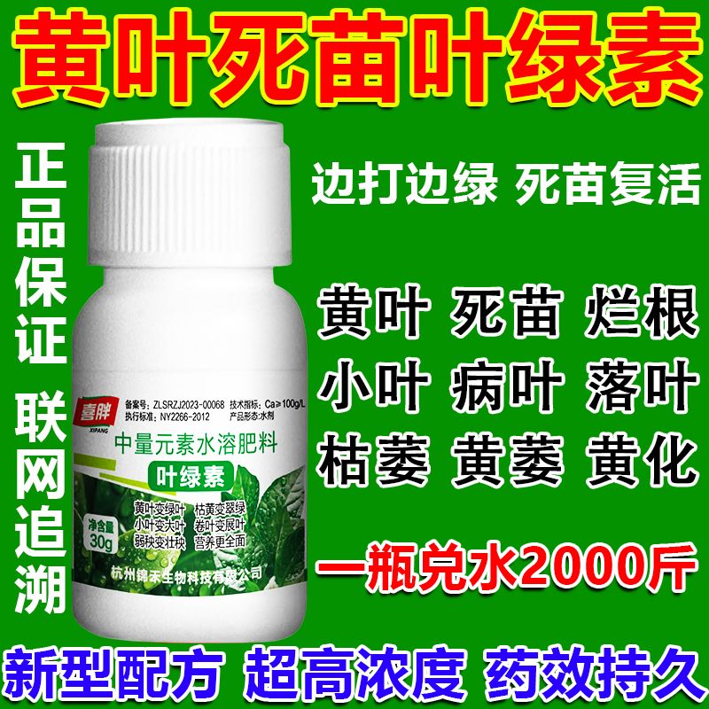 一喷绿油油【万能叶绿素】黄叶掉叶干尖促根生根壮枝防病害营养液