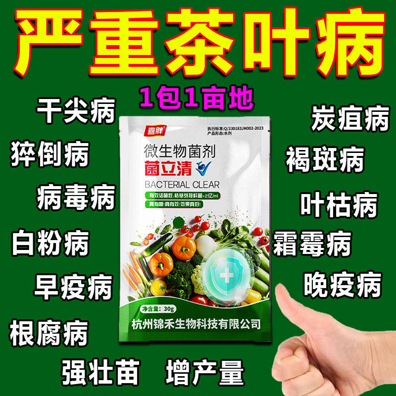 茶树病专用杀菌剂茶树病害清茶饼软腐炭疽叶枯叶霉黑斑茶叶病全治