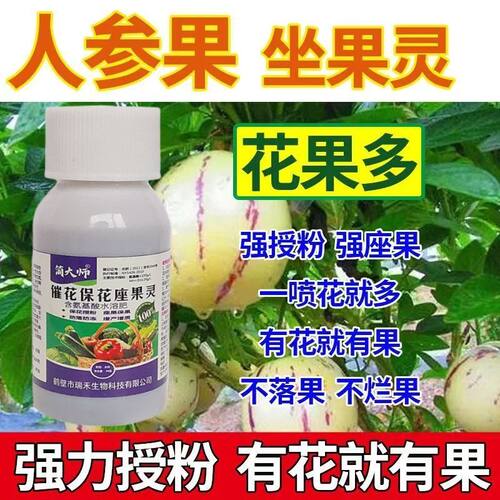 人参果保花保果坐果灵授粉坐果人参果授粉专用药西瓜授粉防落素