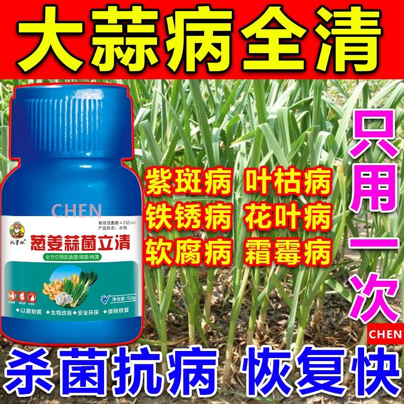 大蒜专用药蒜苗病全治黄叶干尖锈病紫斑病根腐病蒜苗专用杀菌剂