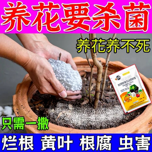 花卉土壤消毒专用杀菌剂杀虫花卉植物灭菌灵花盆营养泥土地除菌粉
