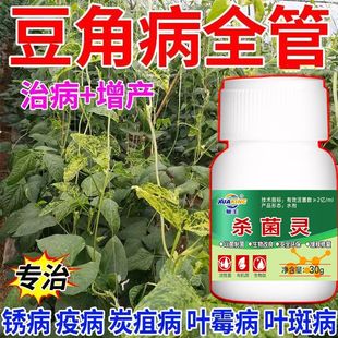 豆角专用药豆角锈病炭疽灵豆角杀菌剂叶斑病疫病枯萎根腐病专用