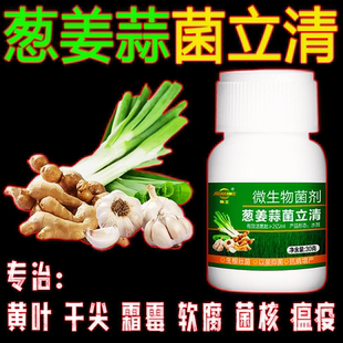 韭葱姜蒜韭菜专用菌立清黄叶卷叶干叶软腐灰叶霉浓绿亮泽增产正品