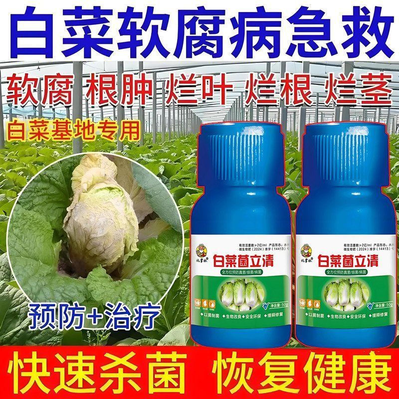 白菜病菌清大白菜专用微生物菌剂烂芯软腐干烧心叶面肥白菜病全治