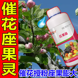 保花保果药防落素叶面肥促花授粉坐果灵果树柑橘番茄桃树芒果李子