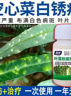 空心菜病全治叶斑病白锈病铁锈病抑菌白菜青菜专用药菜地病全治