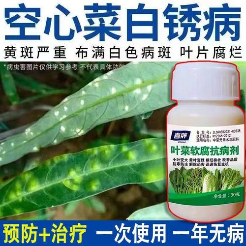 空心菜病全治叶斑病白锈病铁锈病抑菌白菜青菜专用药菜地病全治