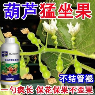 葫芦肥料专用肥营养液葫芦授粉保花坐果肥葫芦坐果灵通用型新型肥
