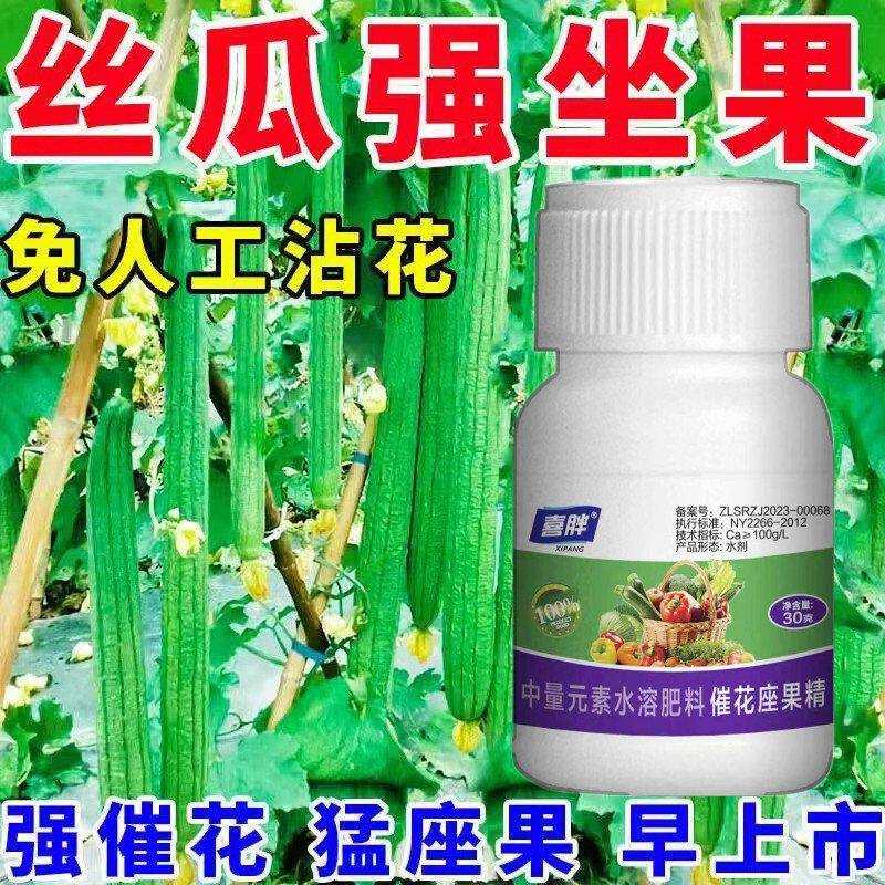 丝瓜授粉专用药丝瓜点花药免人工授粉全株喷雾增花保花强座果增产