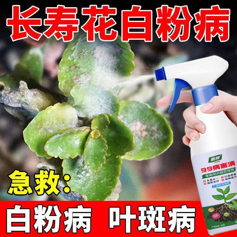 长寿花白粉病专用药杀菌剂黄叶黑腐黑斑月季多肉花卉绿植通用菌立,鲜花速递/花卉仿真/绿植园艺,家庭园艺肥料,淘宝优惠券,粉丝福利购,淘宝优惠卷