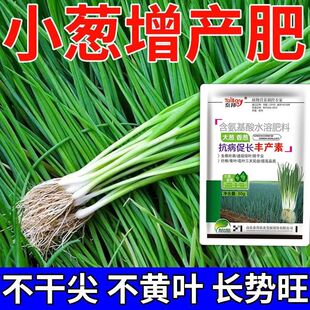 小葱专用肥大葱香葱干尖黄叶软腐烂根灰霉病全清抗病增产叶面肥料