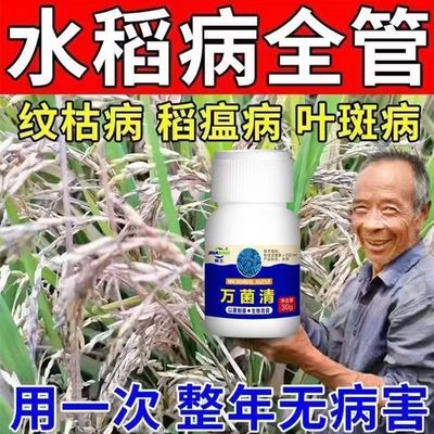 水稻稻瘟病稻曲病纹枯病矮缩病水稻病全治黄叶病秧苗防病药专用药