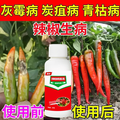 治辣椒病害辣椒专用药炭疽病溃疡病软腐病烂果花皮病防烂特效农药