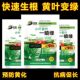 黄叶烂根死苗一喷绿叶面肥蔬菜花卉霜霉病白粉病灰霉病稻瘟病锈病