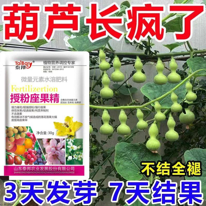 葫芦肥料专用肥营养液葫芦授粉保花坐果肥葫芦坐果灵通用型水溶肥