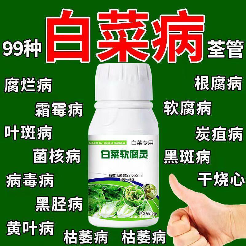白菜专用药白菜病全治大白菜烂根生物菌肥