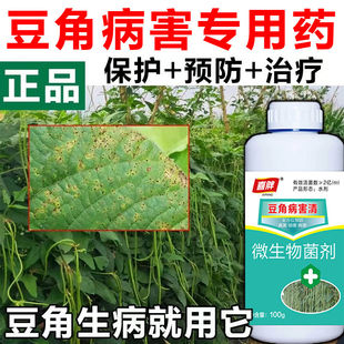 豆角病专用药豆角病全治疾病清叶斑病枯萎根腐病黄叶茵立清