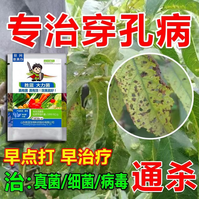 青霉素 农用青霉素抗生素 果树蔬菜真菌细菌性病害农药杀菌剂