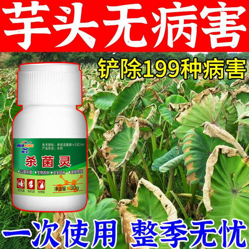 芋头病专用药烂叶斑点疫病霜霉病铜钱病芋瘟病全治防治杀菌剂正品