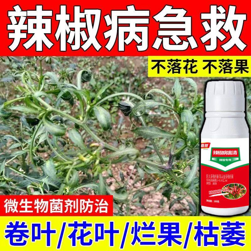 辣椒病毒病辣椒病全治植物蔬菜进口辣椒疫病清辣椒疫病
