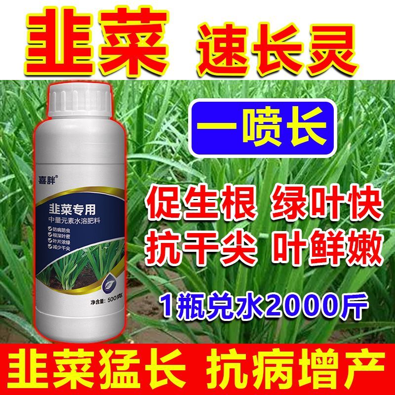韭菜专用肥料粗绿叶片肥厚预防干尖黄叶抗倒伏增产叶菜叶面肥