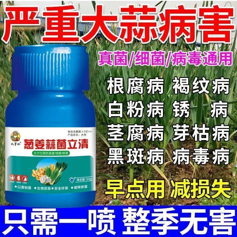 大蒜专用药大蒜病全治黄叶干尖锈病紫斑病根腐病蒜苗正品杀菌剂