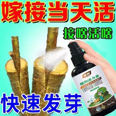 果树嫁接愈合剂促活液树木伤口移植修复嫁接伤口盆栽花卉切口愈合
