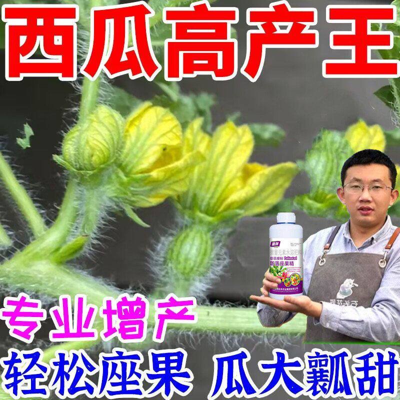 西瓜专用授粉药免沾花药授粉座果精花果素防落素蜜蜂授粉叶面肥