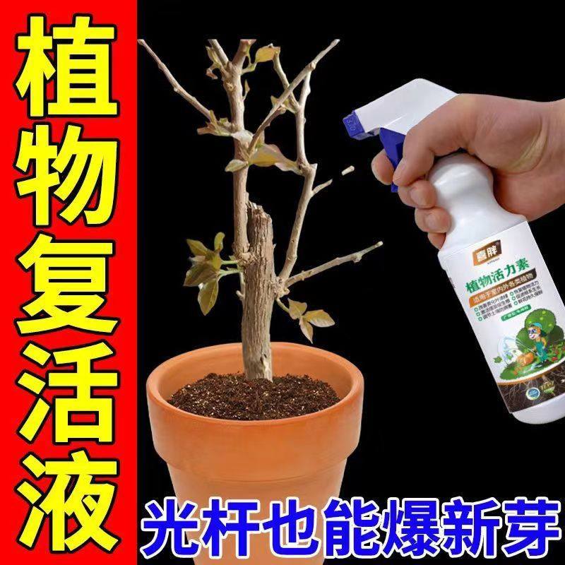 营养液专用养花液体催花促花僵苗快速发新芽防黄叶发芽剂催芽通用