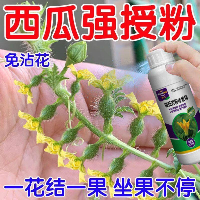 西瓜授粉专用药点花药免沾花授粉坐果精保花保果素防落防畸叶面肥