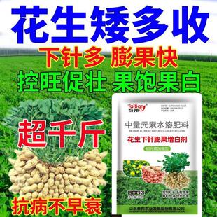 花生矮多收花生高产叶面肥控旺膨大花生超生婆抗病防早衰保花保果
