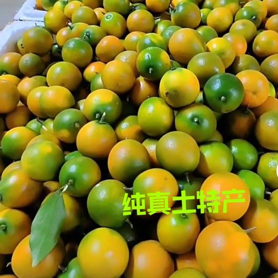 广西融安脆皮金桔纯甜不酸新鲜现摘当季新鲜水果，包邮,水产肉类/新鲜蔬果/熟食,桔子,淘宝优惠券,粉丝福利购,淘宝优惠卷