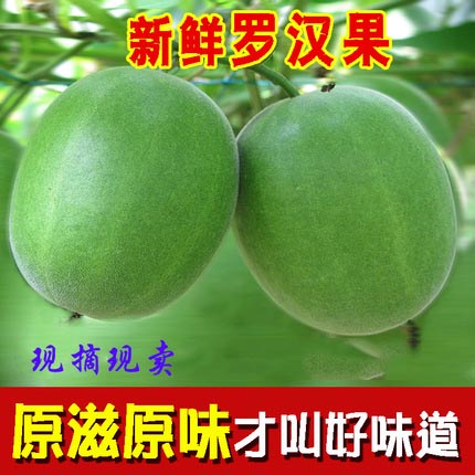 2023年现摘新鲜罗汉果生果广西桂林永福特产罗汉果茶鲜果三斤包邮