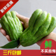 新鲜现摘可选佛手果佛手柑鲜果食药两用生佛手果润喉多地 佛 包邮