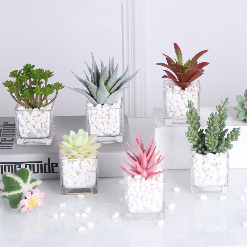 北欧仿真仙人掌多肉假花绿植物装饰摆件客厅创意摆设办公室小盆栽