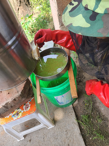 山西太行山蜂蜜农家无添加纯天然