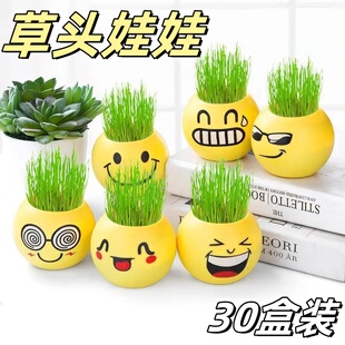 儿童迷你小盆栽绿植观察发芽生长幼儿园学生迷你小植物草头娃娃