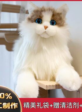 可爱仿真布偶猫毛绒娃娃