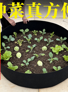种植箱特大号种菜盆防腐木花箱蔬菜种菜神器楼顶阳台户外加厚花盆