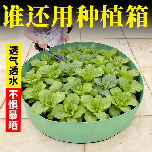 种植箱特大号种菜盆防腐木花箱蔬菜种菜神器楼顶阳台户外加厚花盆
