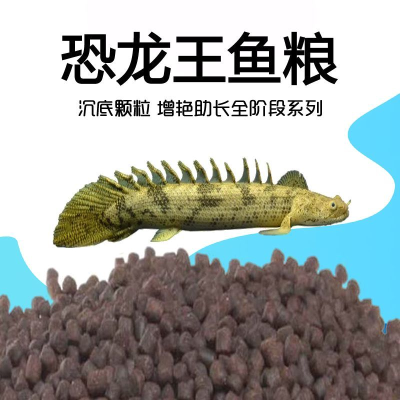 黄金恐龙王鱼饲料沉底多规格全阶段高蛋白螺旋藻增艳专用颗粒鱼粮