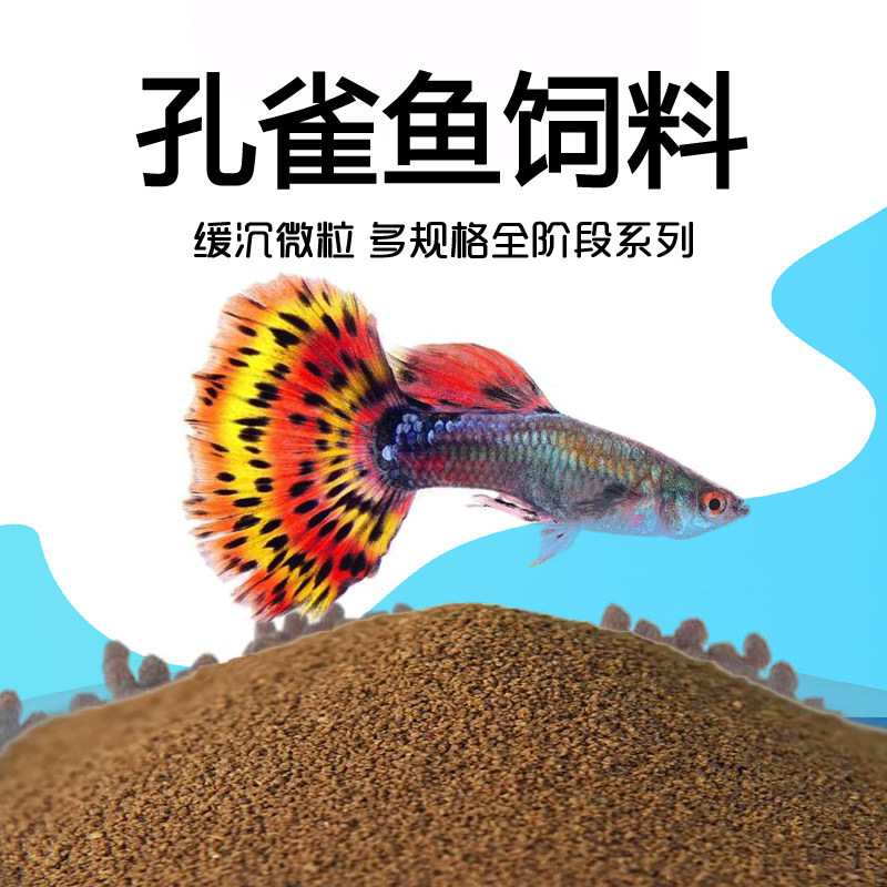 小型鱼饲料孔雀玛丽皮卡丘斑马天使鱼通用高蛋白螺旋藻虾红素鱼粮 - 实物图