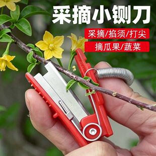 采摘小铡刀拇指采摘刀打叶摘菜工具黄瓜豆角葡萄掐须打尖打叉刀